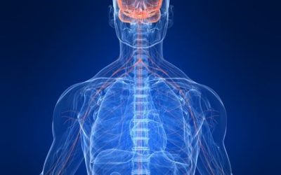 Chiropractic Takeaways from a Chiropractic Assistant