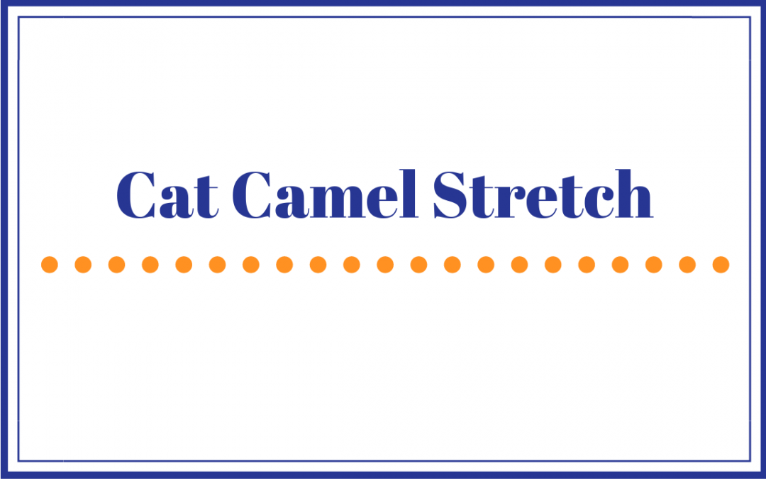 Cat Camel Stretch
