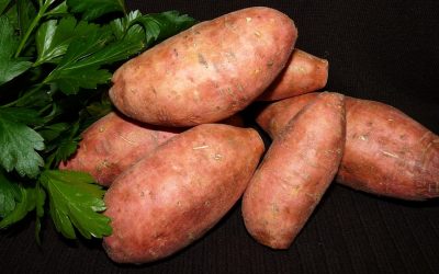 Spotlight on Sweet Potatoes