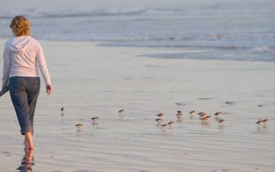 Spinal Degeneration & Chiropractic