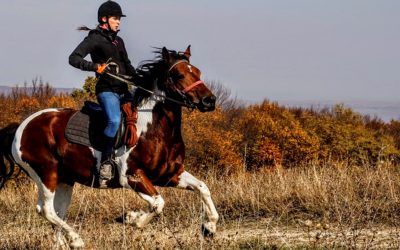 Concussions & Chiropractic