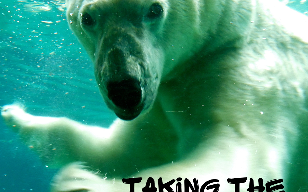 Taking the Cold Plunge