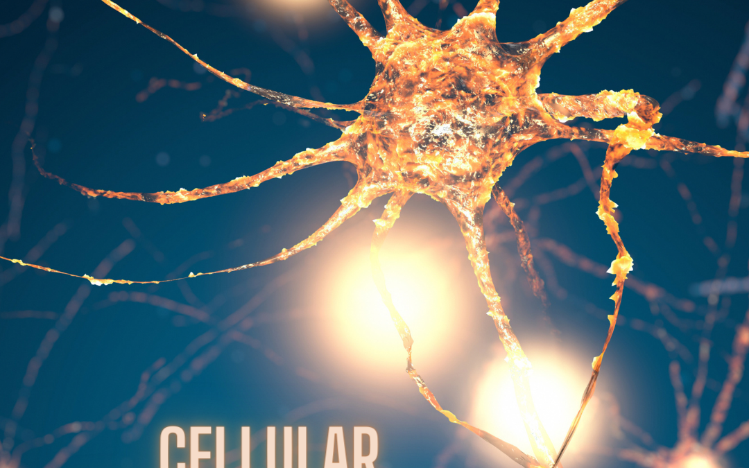 Cellular Communication