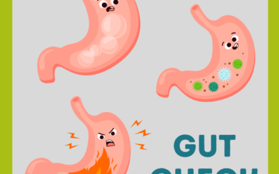 Gut Check